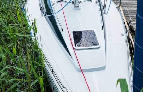 Hornet 29 Noel