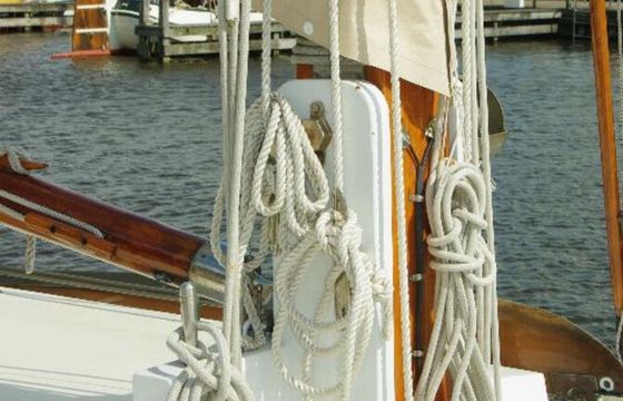 Hoogaars 11.11 Vrouwe Willemke