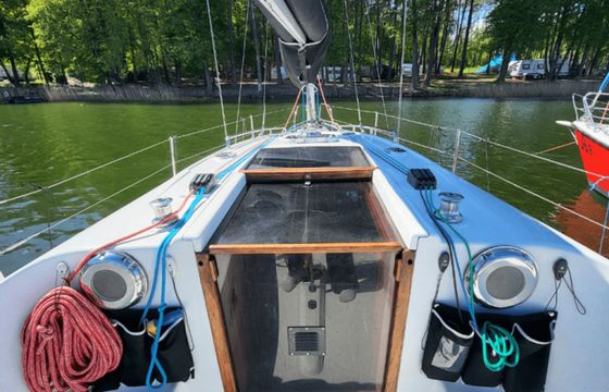 Hornet 29 Zakapior