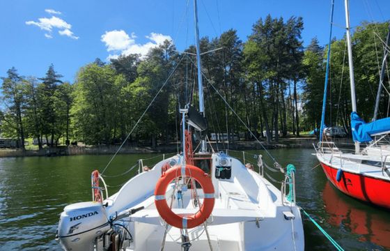 Hornet 29 Zakapior