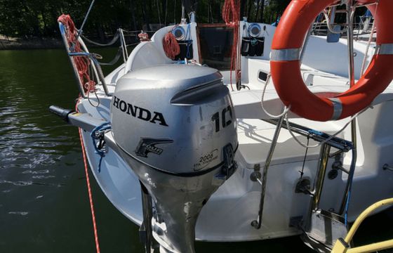 Hornet 29 Zakapior