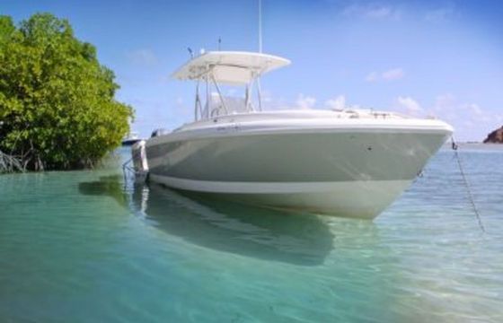 Intrepid 32 Cruzomian
