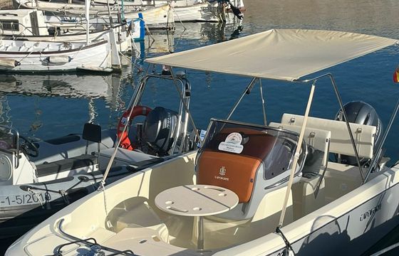 Invictus FX 200 23