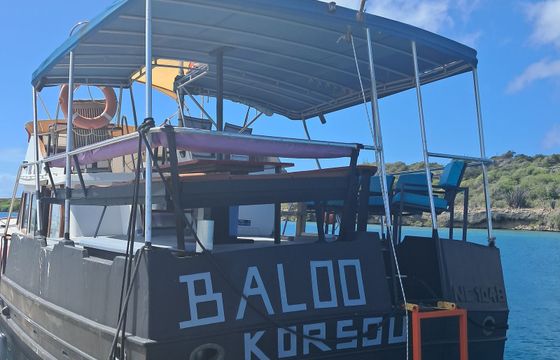Irwin 72 Baloo