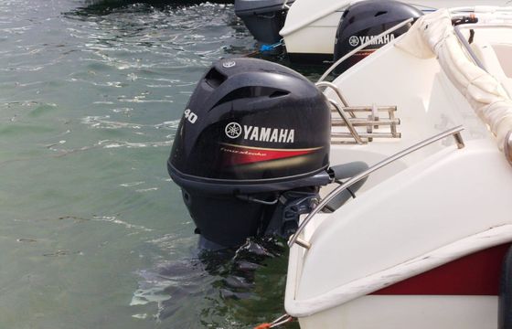 Italmar 19 Italmar 595