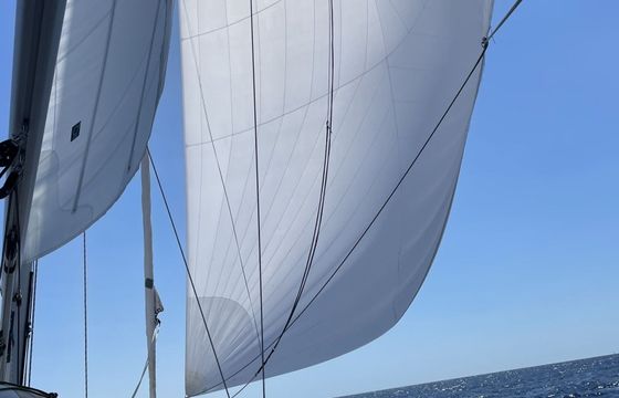 Hanse 460 Freebe