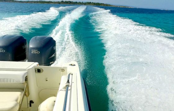 Hydra Sports Vector 2500 Dileon