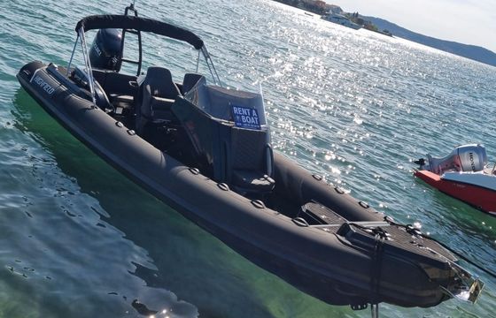 Highfield Sport 800 Black Panther