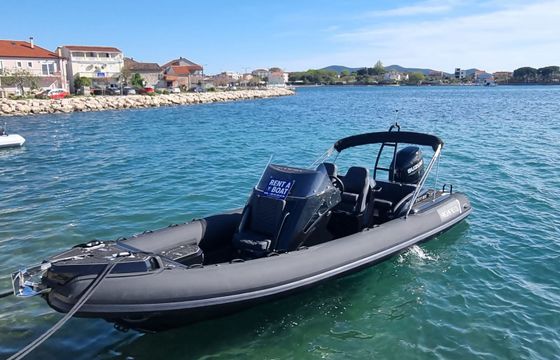 Highfield Sport 800 Black Panther
