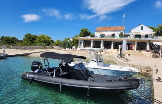 Highfield Sport 800 Black Panther