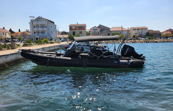 Highfield Sport 800 Black Panther