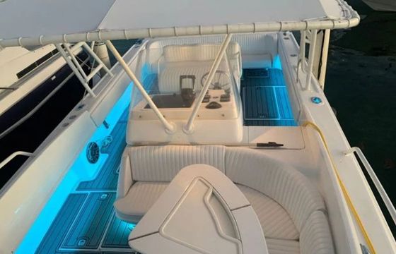 Intrepid 37 Rapidita