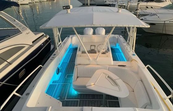 Intrepid 37 Rapidita