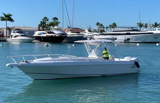 Intrepid 37 Rapidita