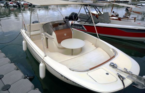 Invictus FX 200 19