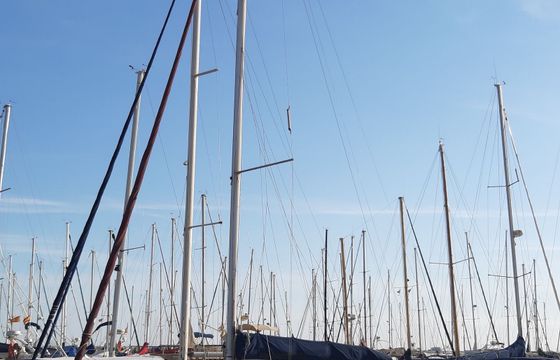 Harmony 38 Macato