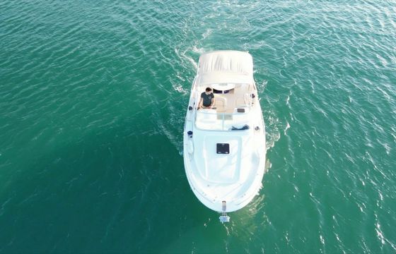 Jeanneau Leader 805 Queta