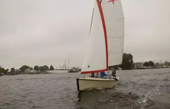 Hoora Polyvalk Falco