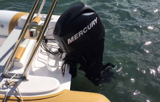 Italboats Predator 490 16