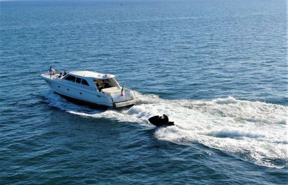 Ilver 58 Freedom