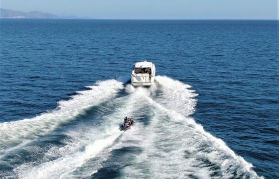 Ilver 58 Freedom