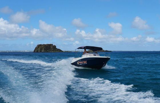 Jeanneau Cap Camarat 6.5 WA Ascona