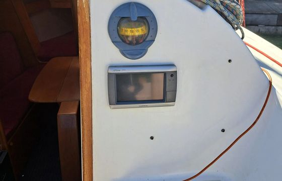 Janmor 28 Palomino