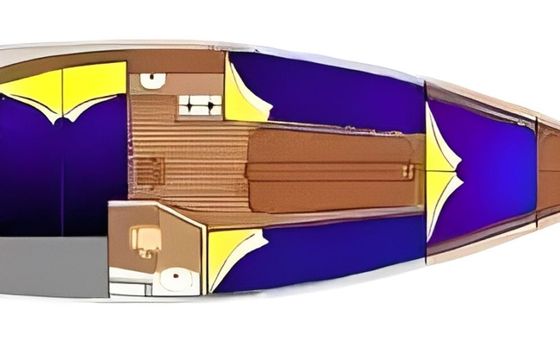 Janmor 28 Palomino