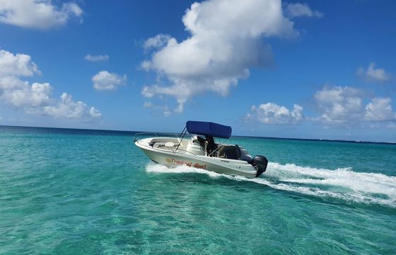 Jeanneau Cap Camarat 6.5 WA Koala Sun