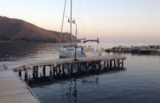 Jeanneau Sun Odyssey 36 Scooby-Doo