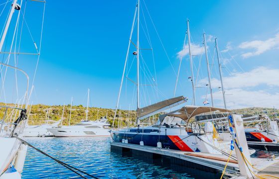 Jeanneau Sun Odyssey 490 Alfader