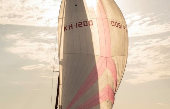 Jeanneau Sun Odyssey 44i La Santa