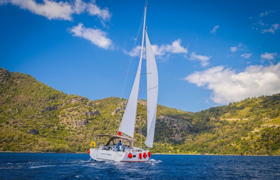 Jeanneau Sun Odyssey 440 White Rabbit
