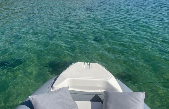 Joker Clubman 24 Carpin