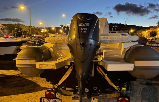 Joker Clubman 24 Carpin