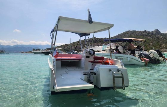 Lagon 55 E Sole Boat