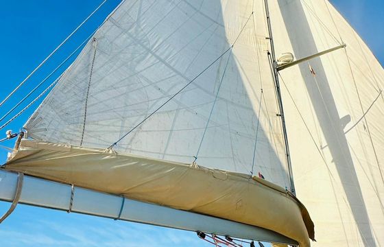 Jeanneau Sun Odyssey 49i Vivanita