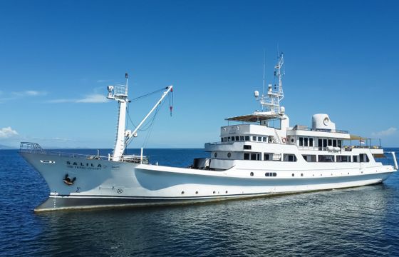 Kanasashi Conversion Salila