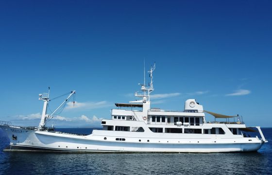 Kanasashi Conversion Salila