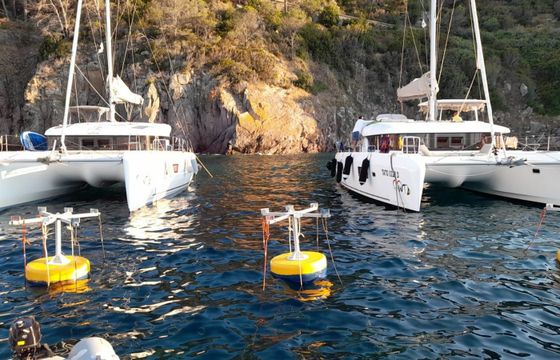 Lagoon 42 Tato