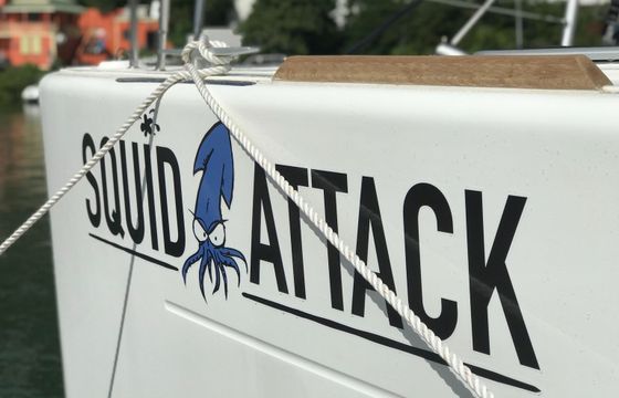 Lagoon 450 F Squid Attack