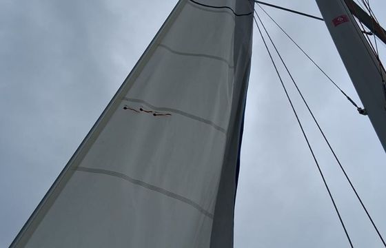 Lagoon 42 Tigra