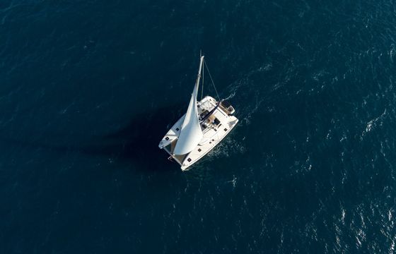 Lagoon 450 F Butterfly
