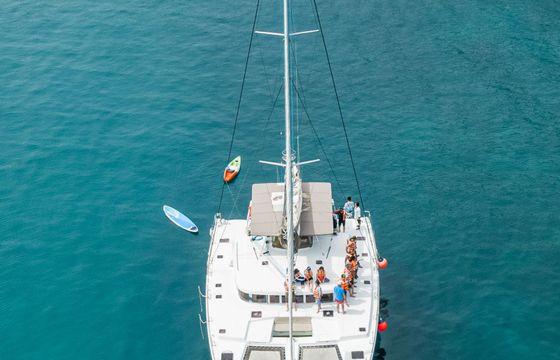 Lagoon 440 Blue Wings