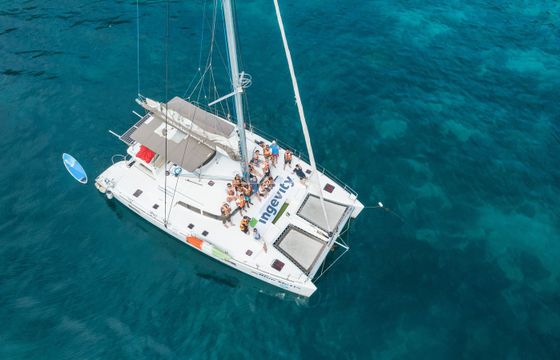 Lagoon 440 Blue Wings