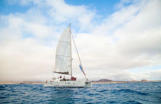 Lagoon 500 Tres