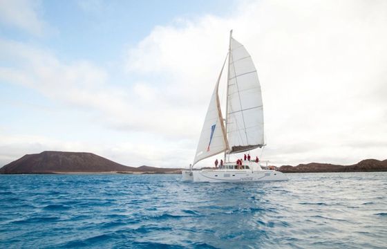 Lagoon 500 Tres