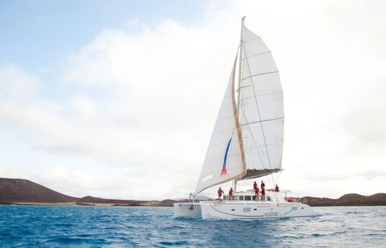 Lagoon 500 Tres