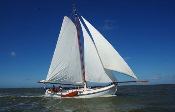Lemsteraak 14.5 Ronde Walvis