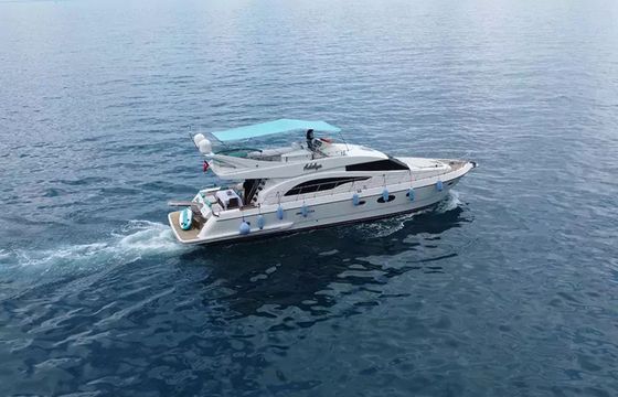 Leomar 59 Adelya